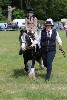 thornton-le-dale-gala showclass7acharity25-5-20022